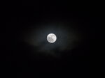 moon-with-halo-less-cloud_6669091979_o.jpg