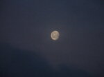 morning-moon_6721825941_o.jpg