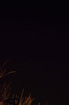 ursa-major-over-the-trees_16376938807_o.jpg