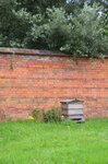 tyntesfield-bee-hive_9626625499_o.jpg - 8.1MB