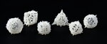 3d-printed-thorn-dice_13328944185_o.jpg