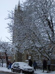 snowy-trees_7077090813_o.jpg - 2.3MB