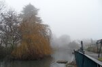 misty-swan-pool_8462728984_o.jpg