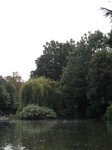 trees-in-the-pond_8148073445_o.jpg - 5.4MB