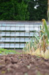 tyntesfield-garden-and-greenhouse_9629863060_o.jpg - 5.5MB