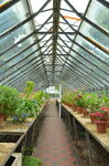 tyntesfield-greenhouses_9626606157_o.jpg - 7.6MB