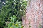 walled-garden-ironwork_14608375268_o.jpg