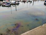 oil-spill-in-the-harbour_43829523154_o.jpg