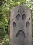 fox-paw-print_8142013351_o.jpg - 5.9MB