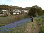 bluebell-view_17345647541_o.jpg