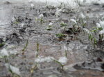 flooded-footpath_8603036254_o.jpg