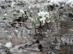 flooded-footpath_8603038134_o.jpg