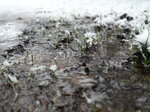 flooding-beside-the-footpath_8601939593_o.jpg