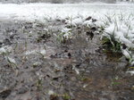 flooding-beside-the-footpath_8603041916_o.jpg