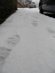 footsteps-in-the-snow-in-march_8601916293_o.jpg