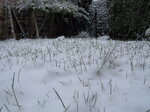 snow-lawn_8393894725_o.jpg