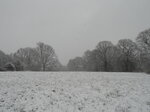 snowy-common_8601928421_o.jpg