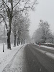 snowy-road_8603024880_o.jpg